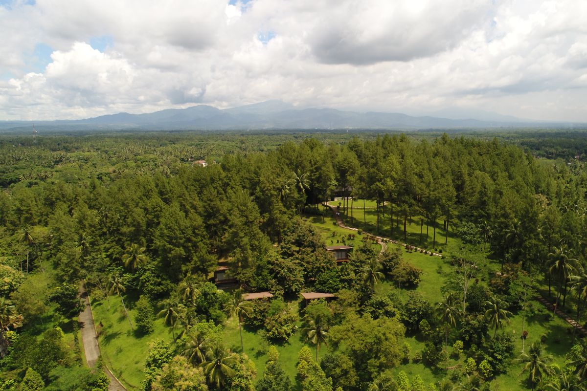 Bukit Dagi Magelang: Pesona Wisata Alam yang Menawan